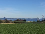 トン太さんの剱崎の投稿写真1