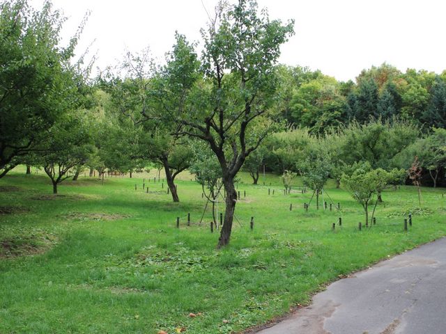 梅林_平岡公園 売店