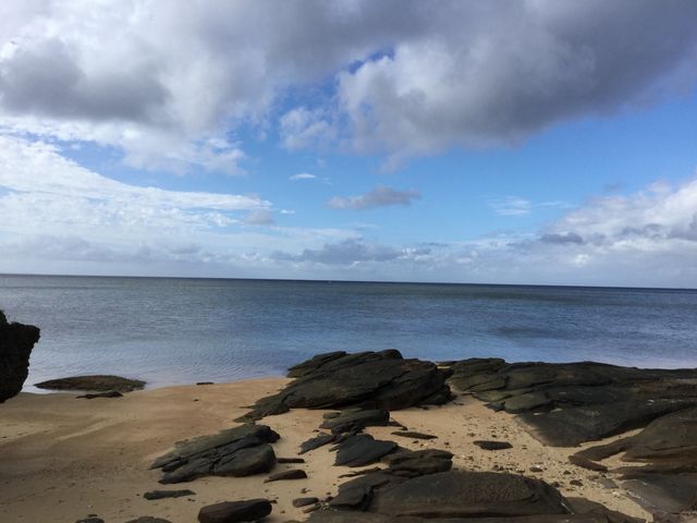 浜_忘勿石の碑
