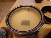 minoruさんの角間温泉の投稿写真3