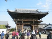 鶴亀松竹梅扇さんの常観寺の投稿写真2