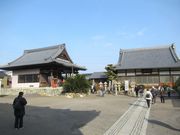 鶴亀松竹梅扇さんの常観寺の投稿写真3