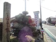 鶴亀松竹梅扇さんの常観寺の投稿写真4