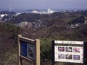 世田谷区等々力の住人さんの県立塚山公園の投稿写真1