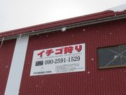 てつきちさんのタナベリーファーム(TANABERRY FARM)の投稿写真1