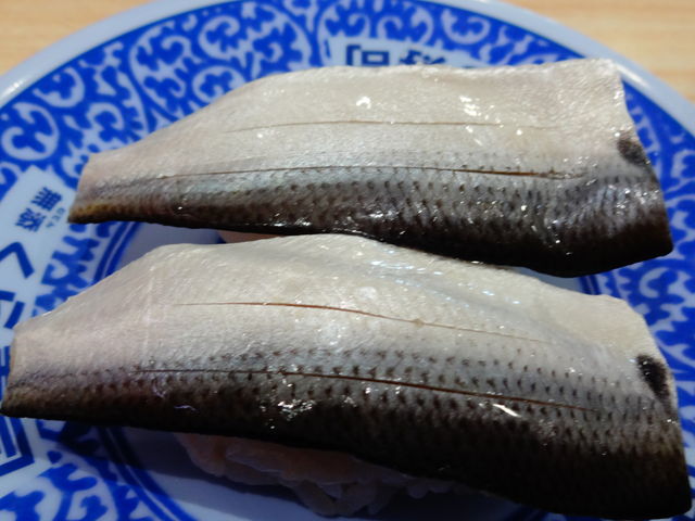こはだ_くら寿司宇治大久保店