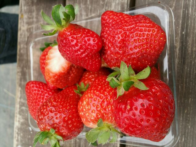 大粒のあまおう。めっちゃ沢山ありました。来て良かった。_福田ファーム ベリー畑