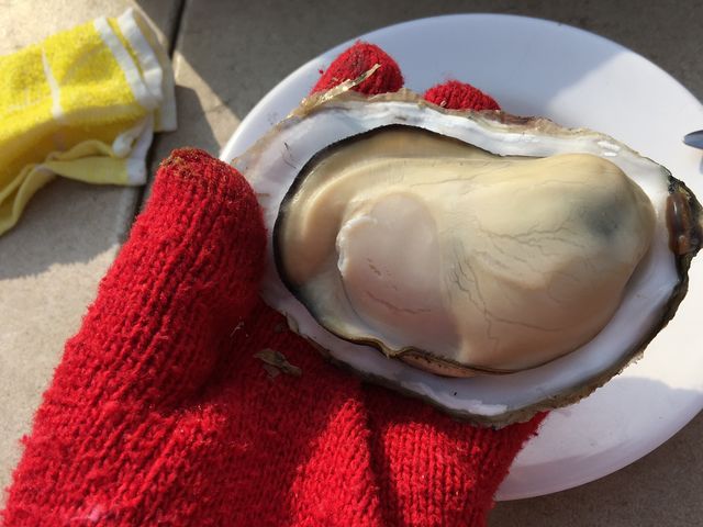 竹崎かき♪_かき焼き・勇栄丸