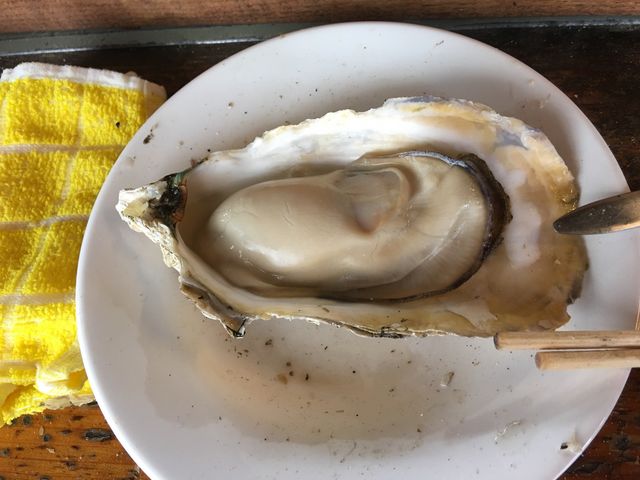 とても美味しい牡蠣☆大きくてぷりぷりの牡蠣で食べ応えがあります♪_かき焼き・勇栄丸