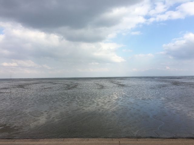 有明海の干潟_有明海の干潟(肥前鹿島干潟)
