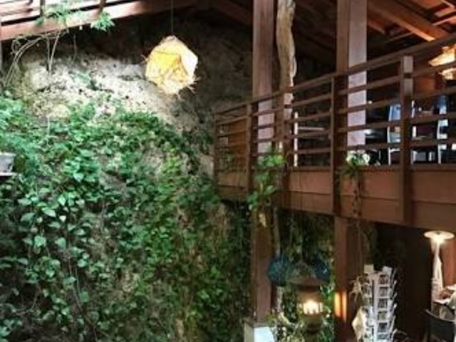 完璧な店_山の茶屋・楽水
