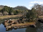 しちのすけさんの近水園の投稿写真1