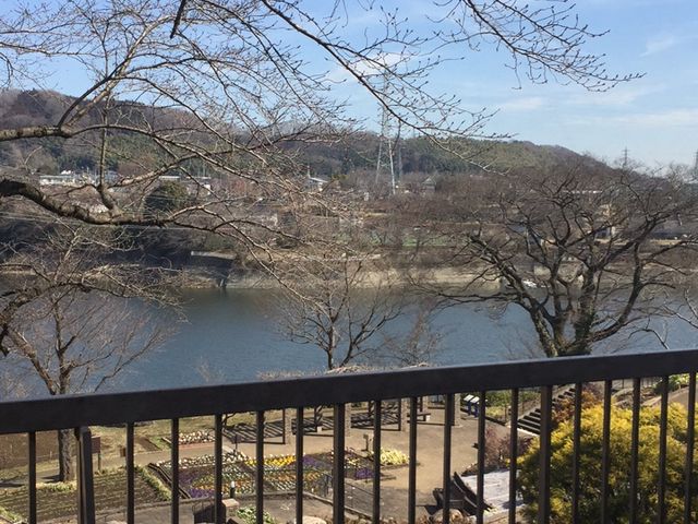湖は癒される_津久井湖観光センター