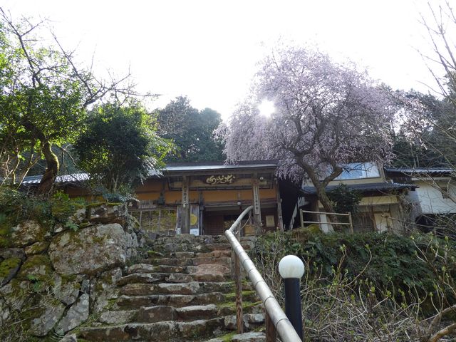 馬居寺
