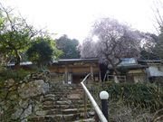 マイBOOさんの馬居寺の投稿写真1