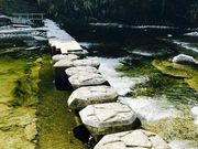 リョウヘイさんの養老川流域の投稿写真2