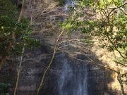 しぇるさんの清滝(大分県竹田市)の投稿写真1