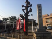 Kuda12さんの半田稲荷神社の投稿写真1