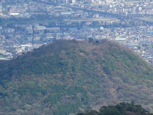マックさんの甲山の投稿写真1