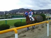 名無しさんの福島競馬場の投稿写真2