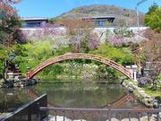 マックさんの甲山の投稿写真17