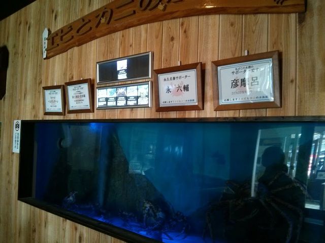 寄附金?をすると名前が飾られるようです。_すさみ町立エビとカニの水族館