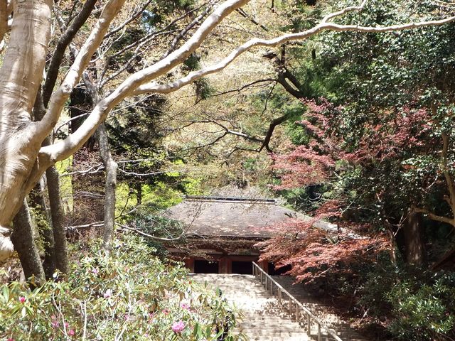 室生寺