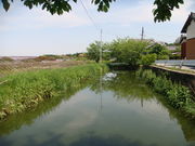 まこさんの竹之内環濠集落の投稿写真1