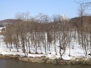 たかちゃんさんの旭湖の投稿写真1