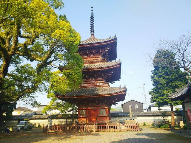 斑鳩寺_斑鳩寺