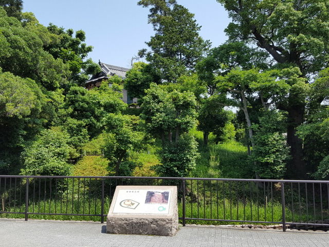 堀には鳥たちがいます。_御願塚古墳