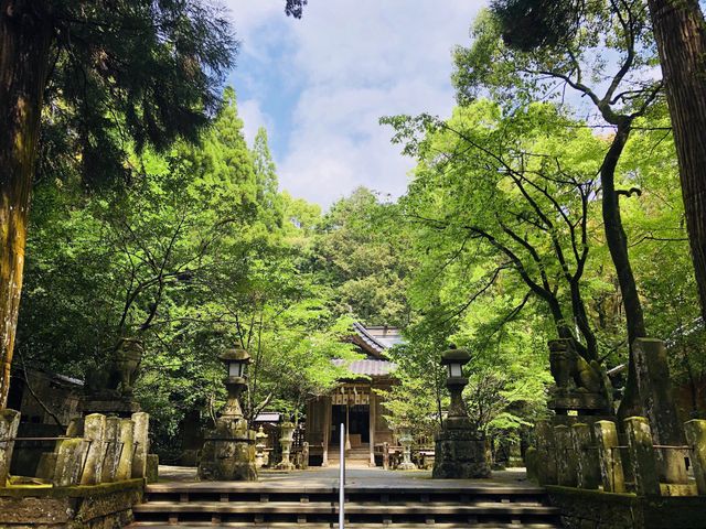 彦嶽宮下宮の境内
新緑に囲まれて、静かなひと時を過ごせる。_彦嶽宮