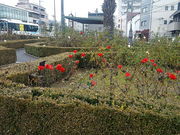 marimariさんの本山街園の投稿写真1