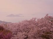 おさむさんの紫雲出山の投稿写真1