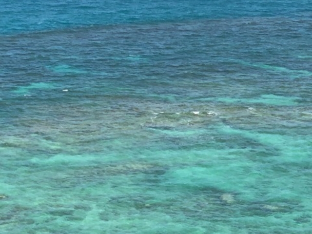 リーフが見れます_伊是名島