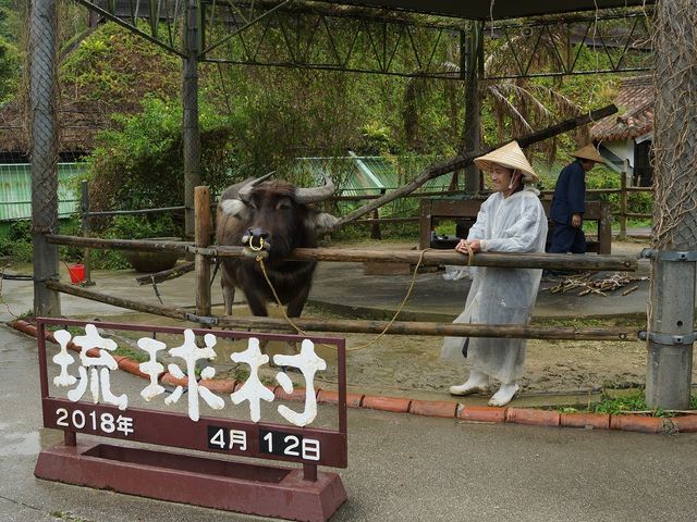 サーターヤー_琉球村