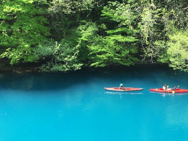 周りの木々、カヌーの色と合わせて、奥四万湖とは違った景観が味わえた_奥四万湖