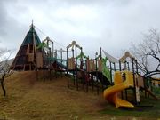 w-masaさんの武生中央公園の投稿写真1