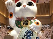 あちゅこんさんのイオンモール常滑の投稿写真1