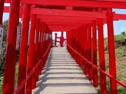 マックさんの元乃隅神社の投稿写真12