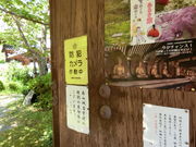 やんまあさんの神童寺の投稿写真1