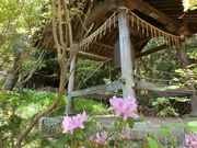やんまあさんの神童寺の投稿写真1