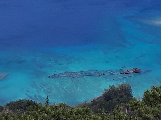 おおいしげさんの境浦の投稿写真1