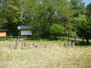 メタボ大王さんの上原遺跡の投稿写真1