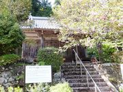 こぼらさんの神野寺の投稿写真1