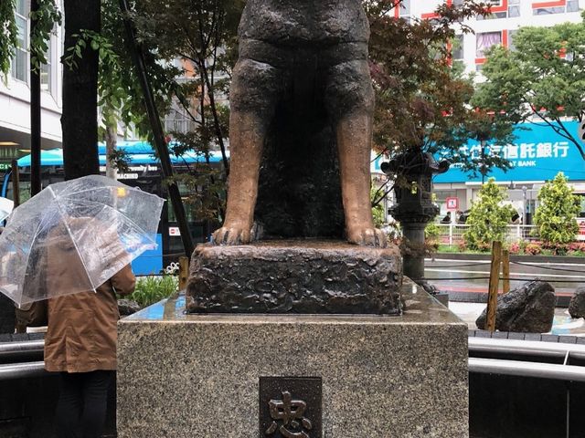 ハチ公_忠犬ハチ公像