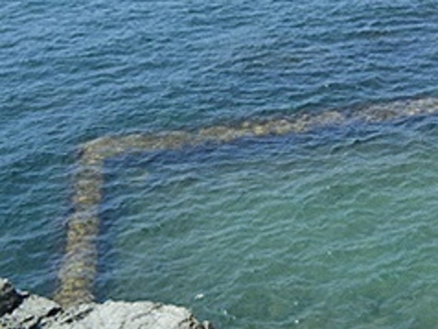 玉川海水浴場_玉川海水浴場