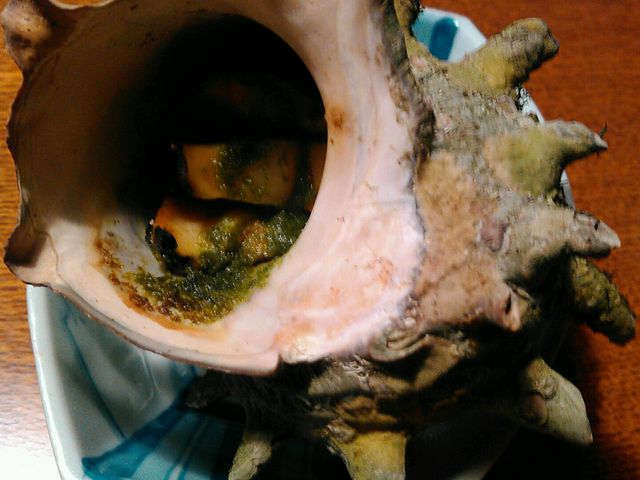 前菜2品目サザエのエスカルゴ風。つぼ焼きよりアカデミックな味わい。_民宿 かいとく丸