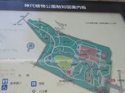 アリスさんの都立神代植物公園梅まつりの投稿写真1