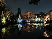 東京ものさんの肥後細川庭園の投稿写真1